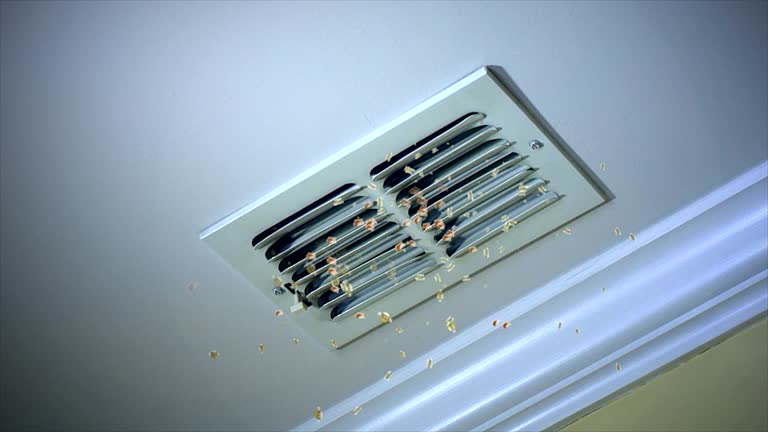 Best Affordable Duct Cleaning Services  in Milledgeville, GA